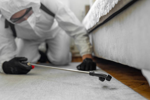 Professional Cockroach Control technician working in Delaware County County, OH